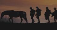War Horse