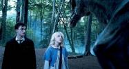 Harry Potter and the Order of the Phoenix