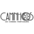 Caminhos do Cinema Portugues