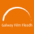 Galway Film Fleadh